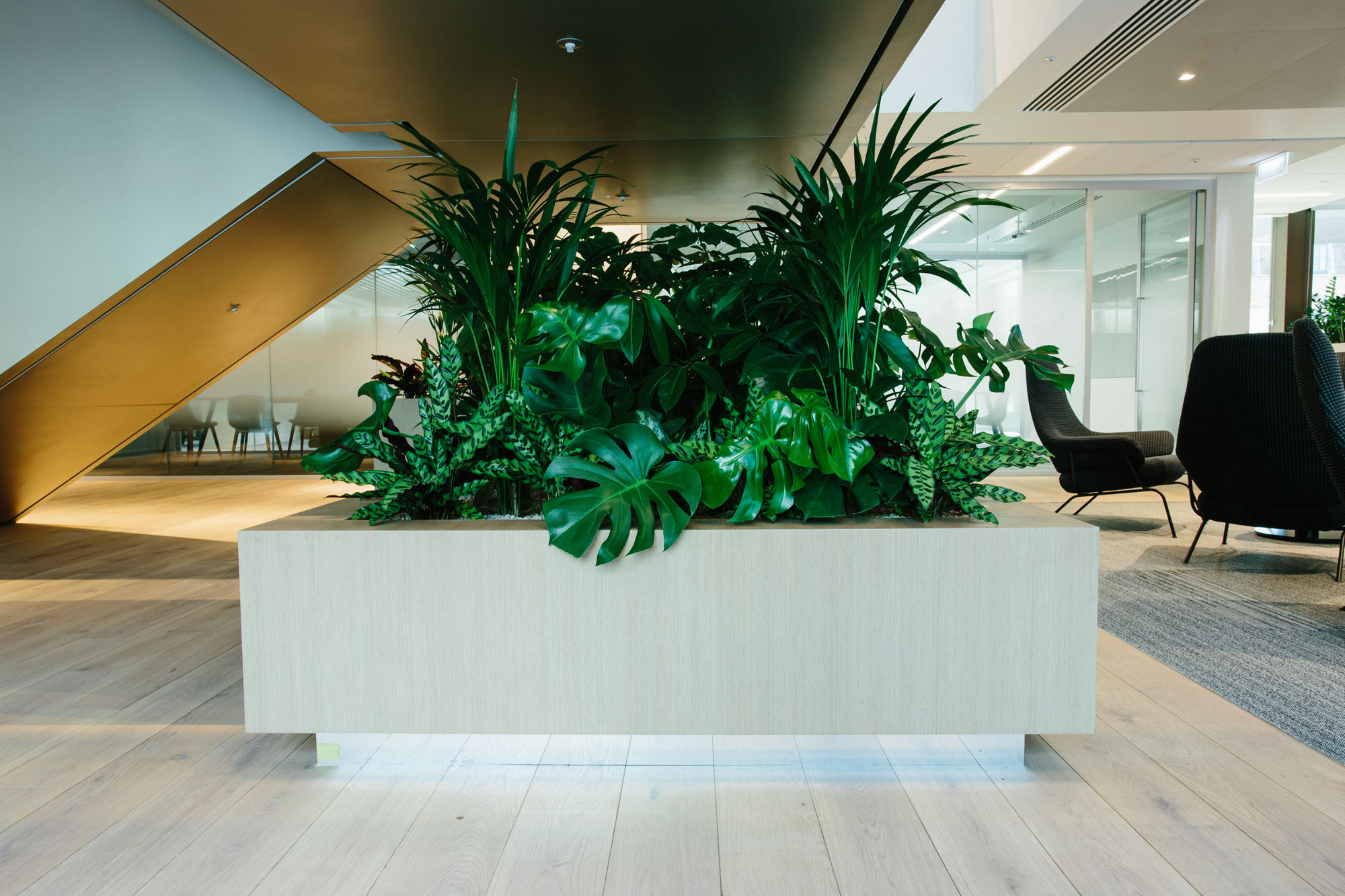 Biophilic Design and bespoke interior landscaping