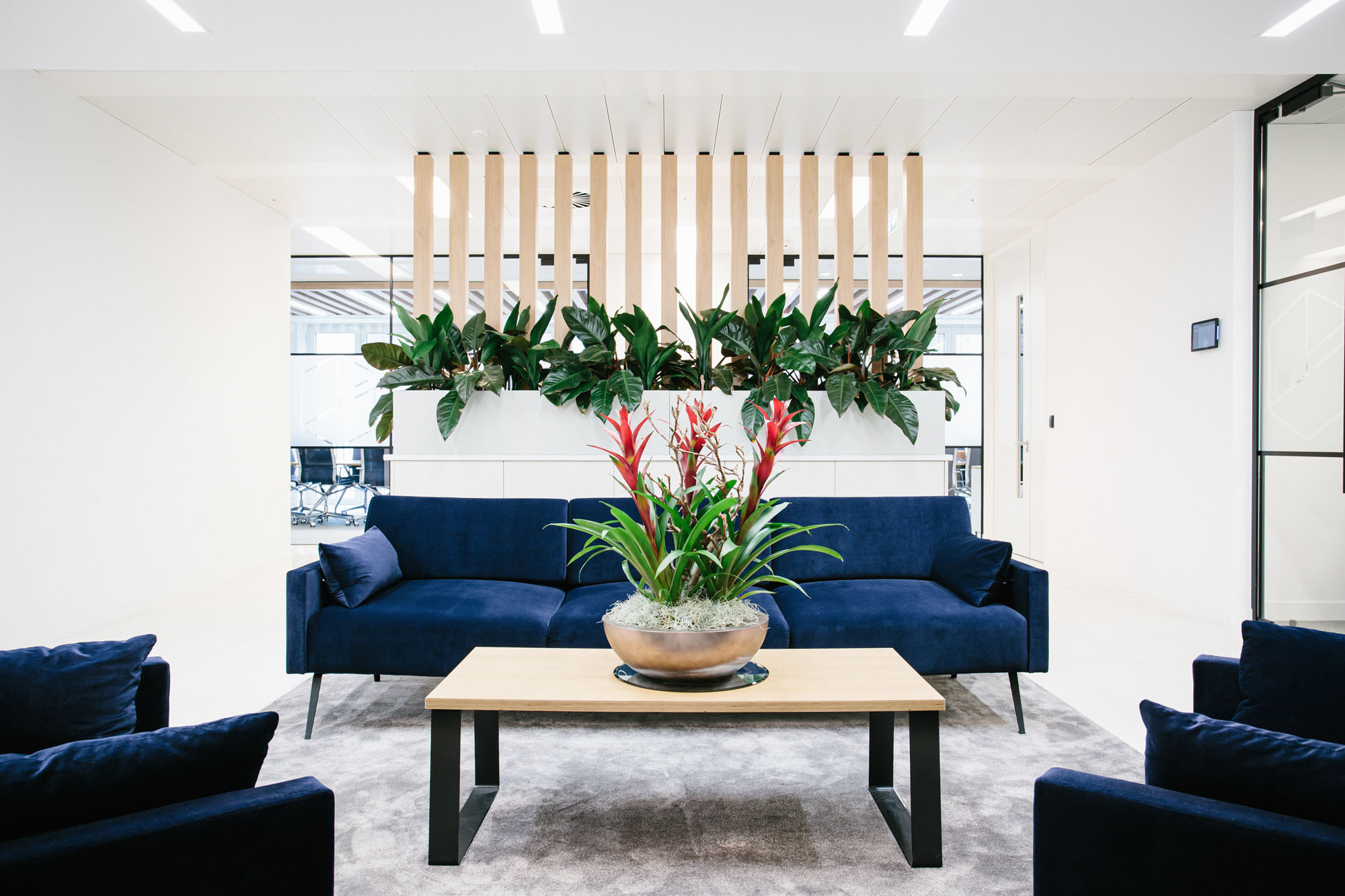 plants in seating area