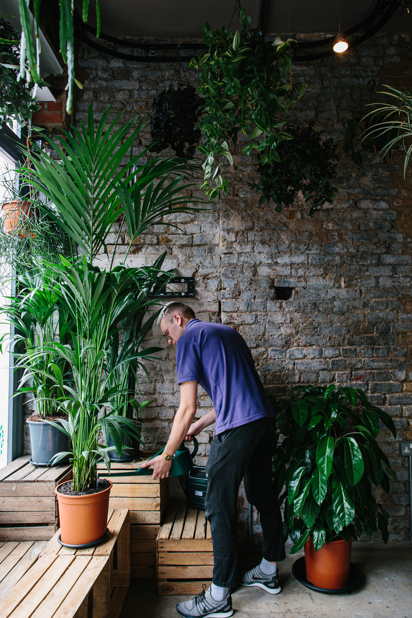 person next to plants in pots
