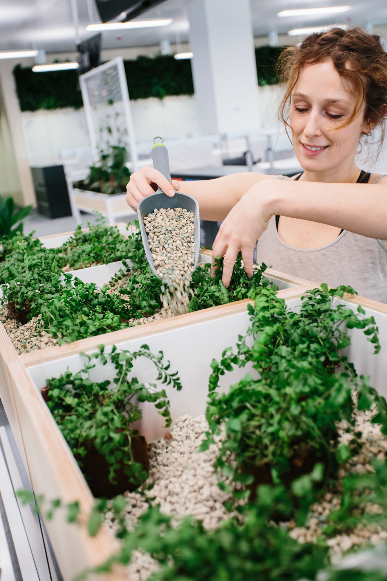 person planting plants in joinery