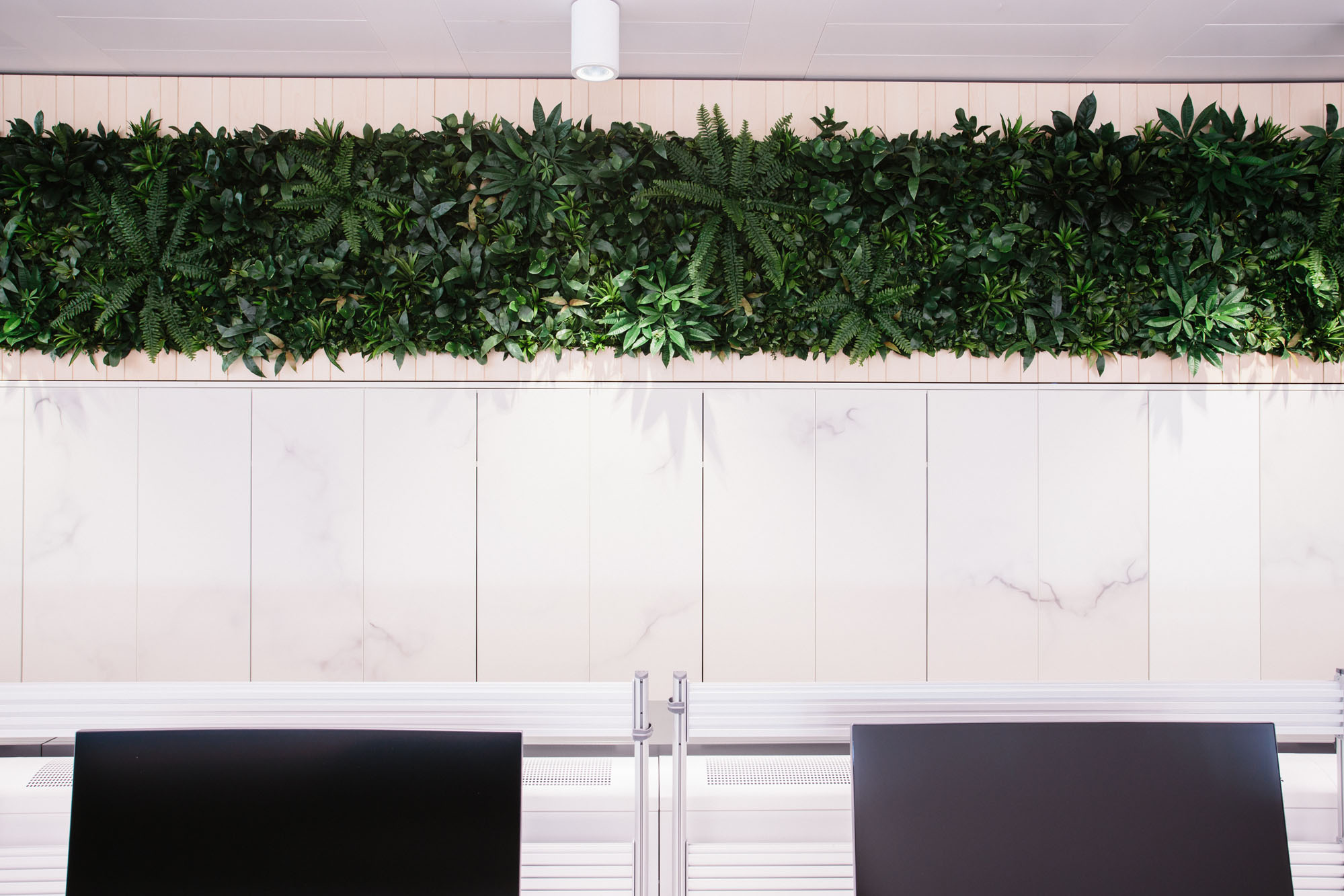 plants installed in wall