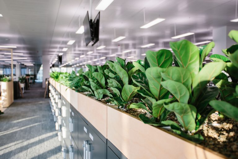 The EBRD Canary Wharf | Case Study | Plant Designs