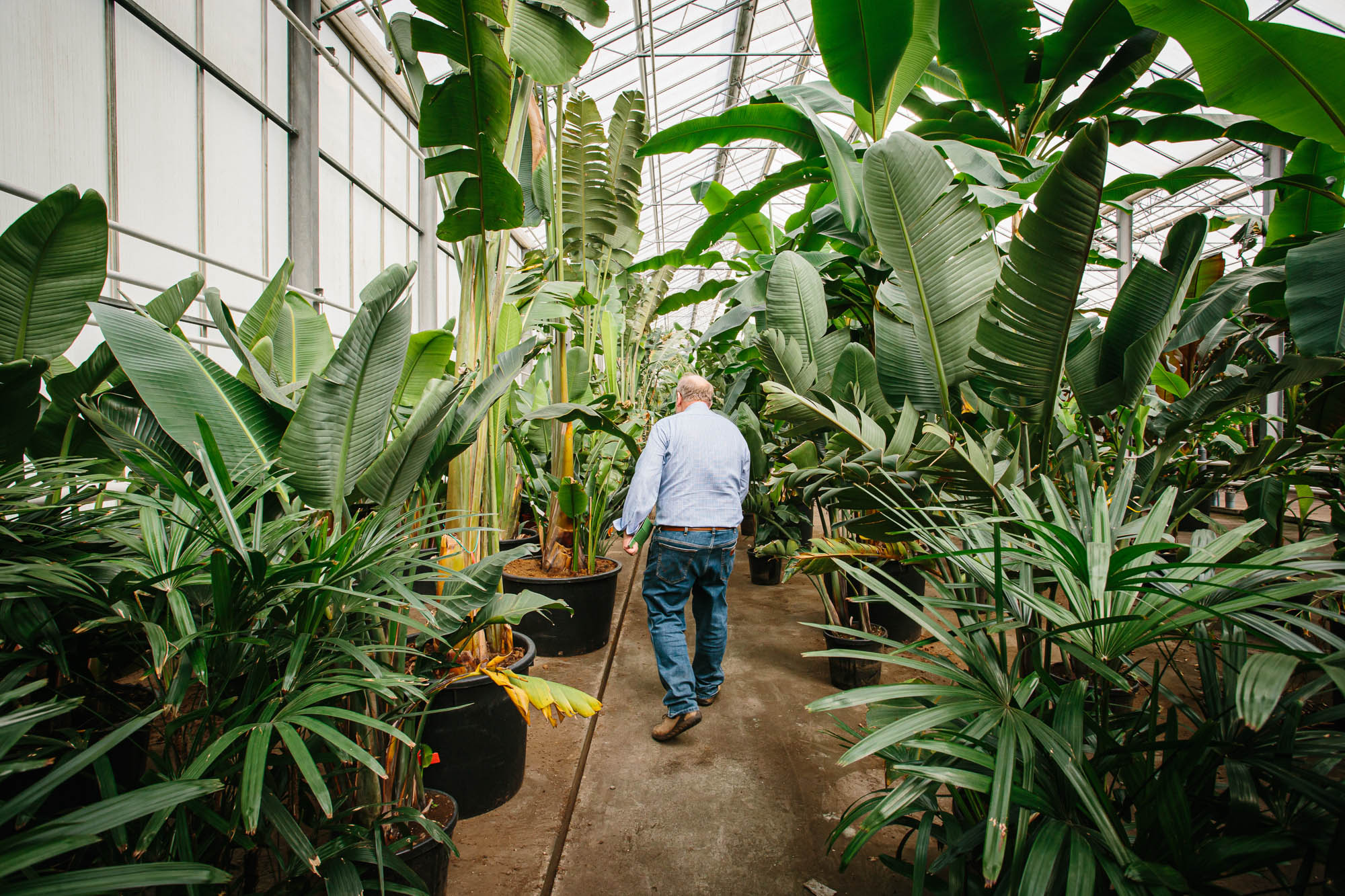 person and plants in nursery