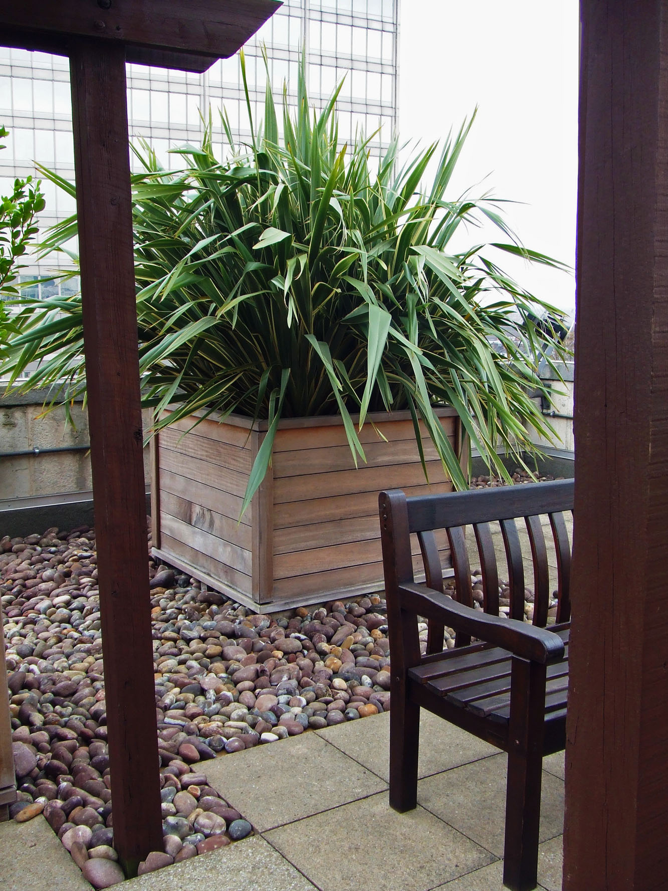 exterior plants in box planter