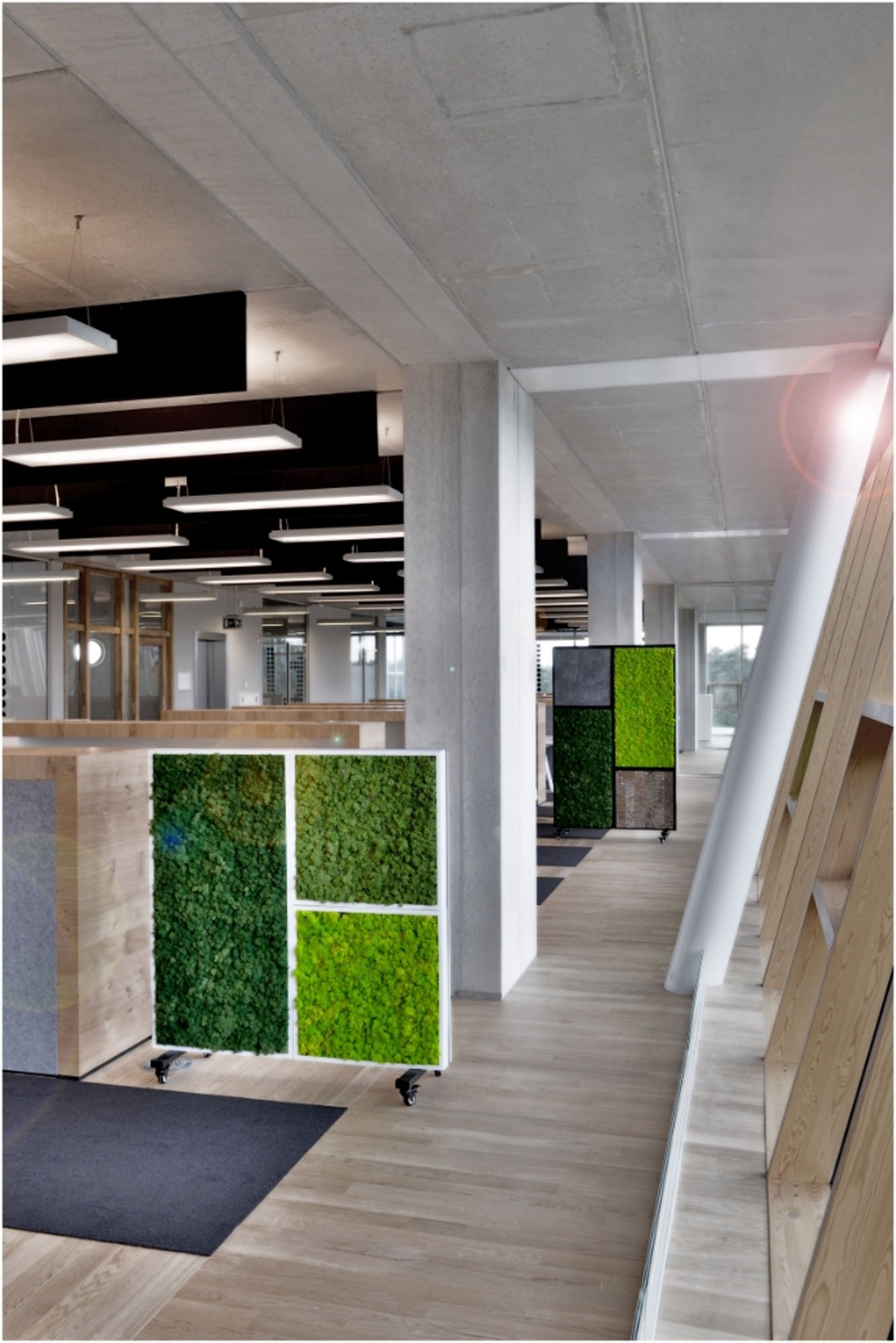 moss wall divider in office