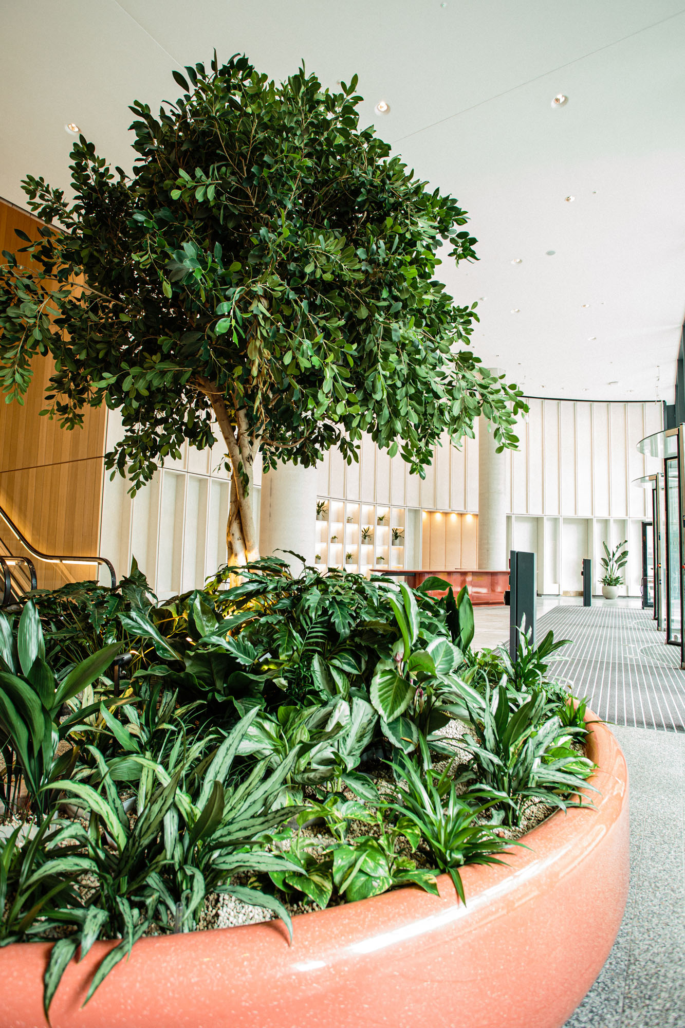 plants in circular bed planter in office