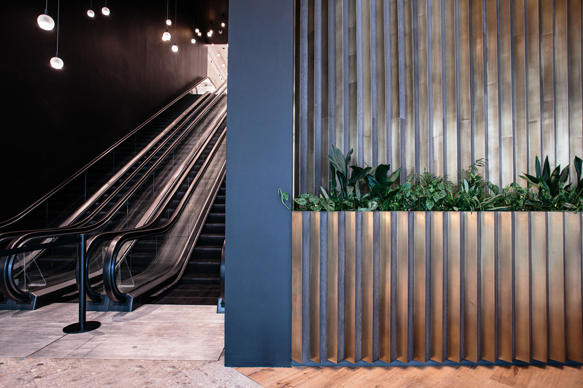 plants installed in wall joinery next to escalators