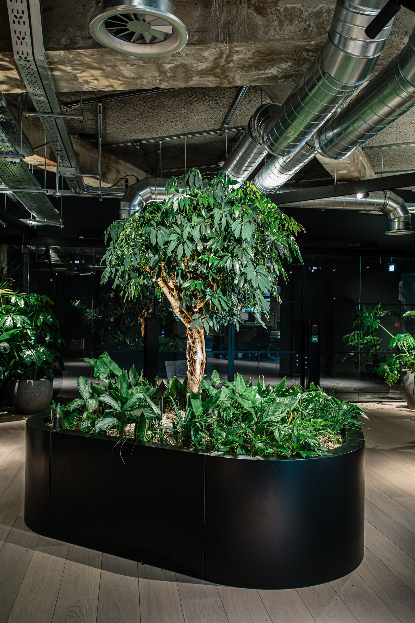 plants in circular planter in building