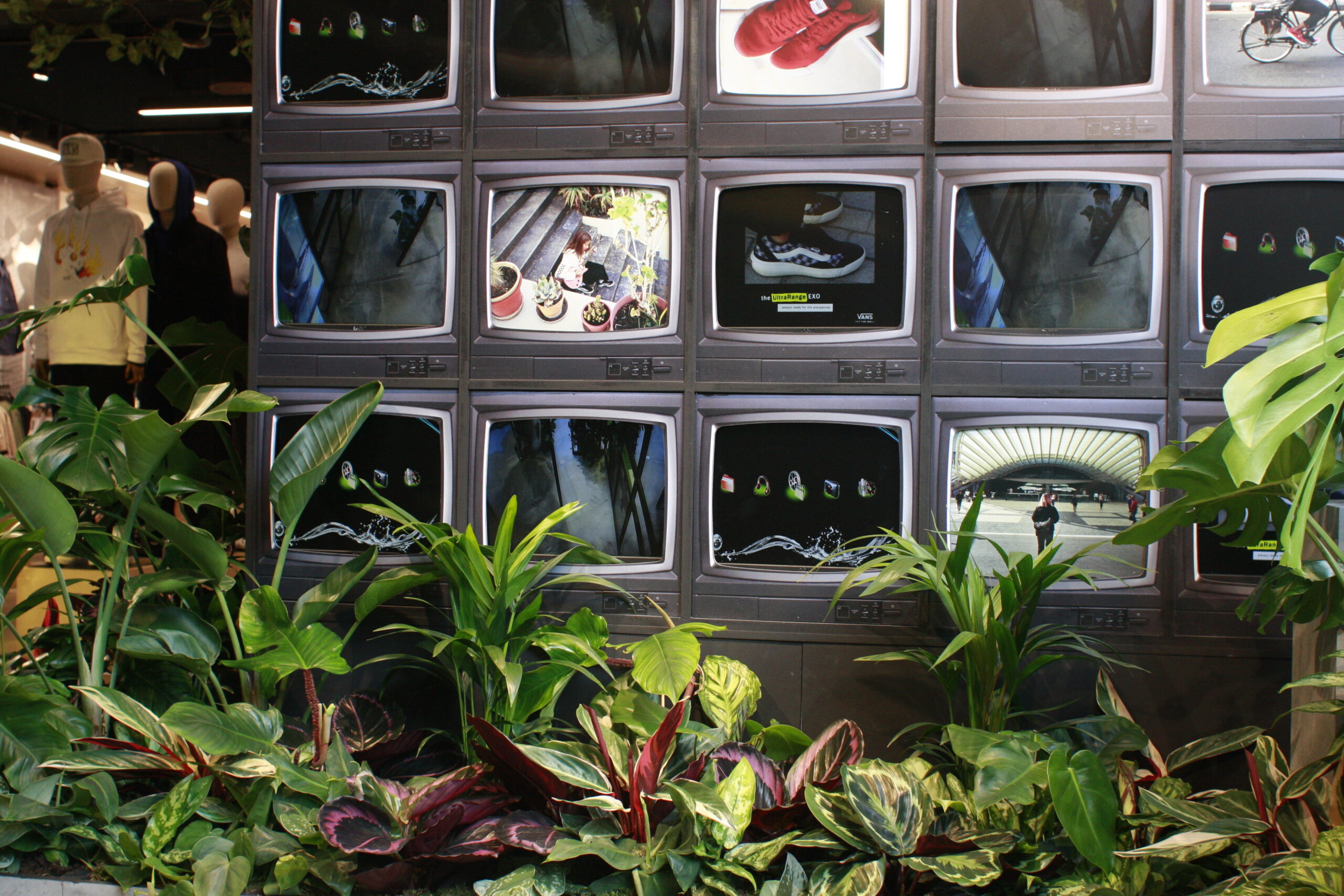 plant display in shoe shop