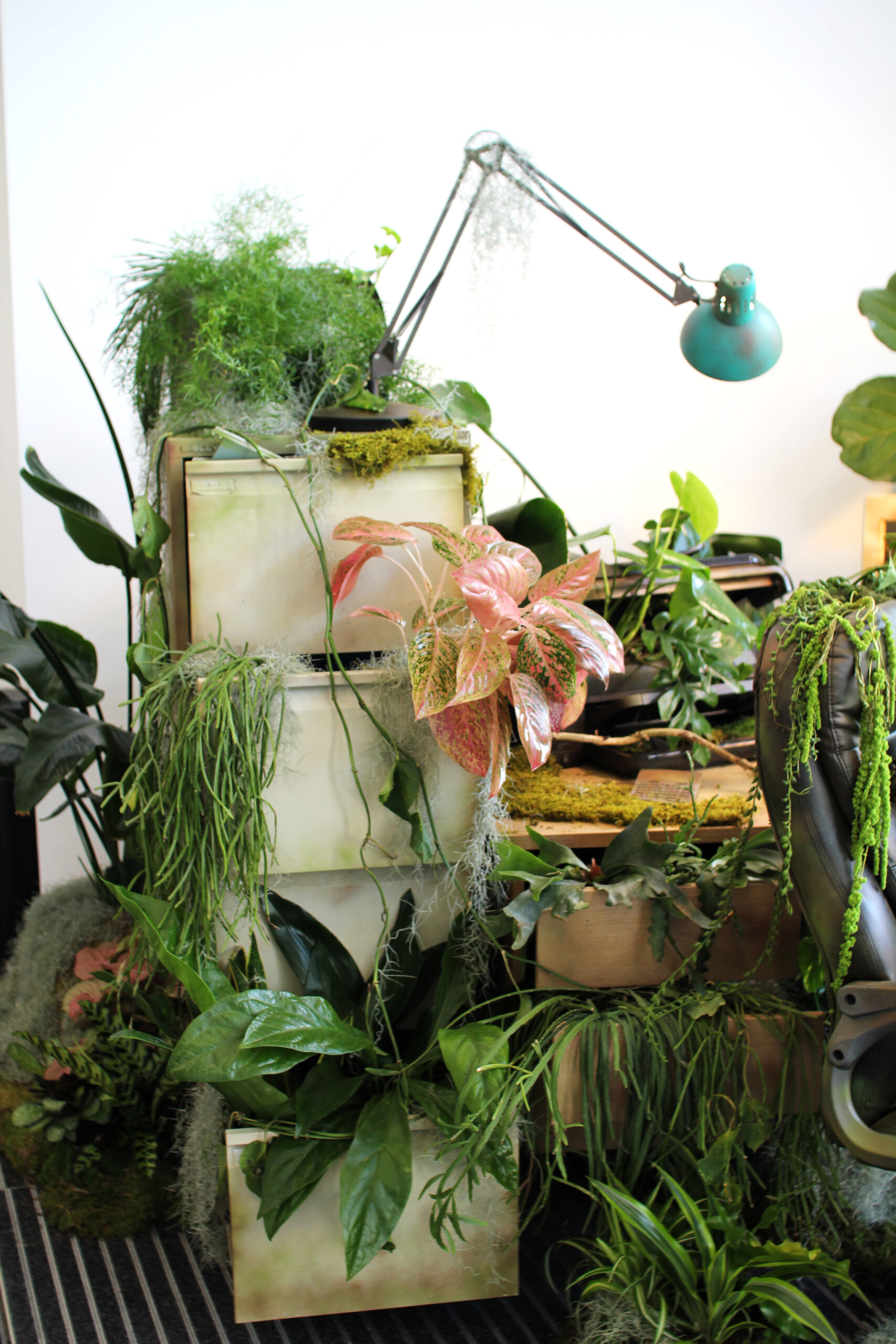 plants displayed over desk and chair