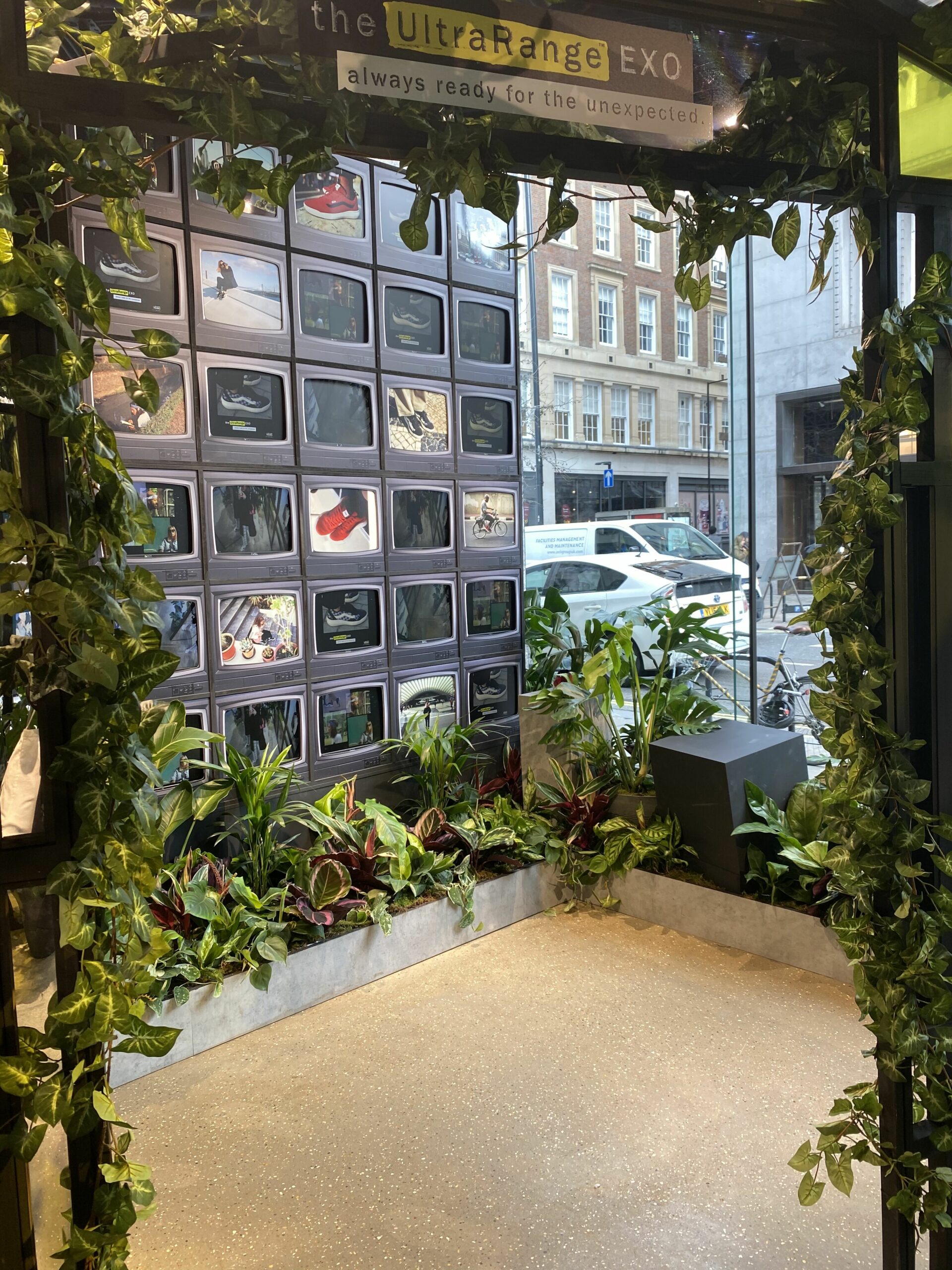 plants installed in shop display