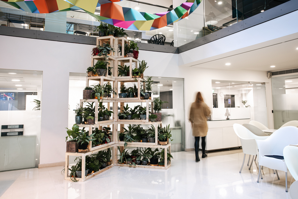 A eco friendly Christmas tree alternative made of living plants