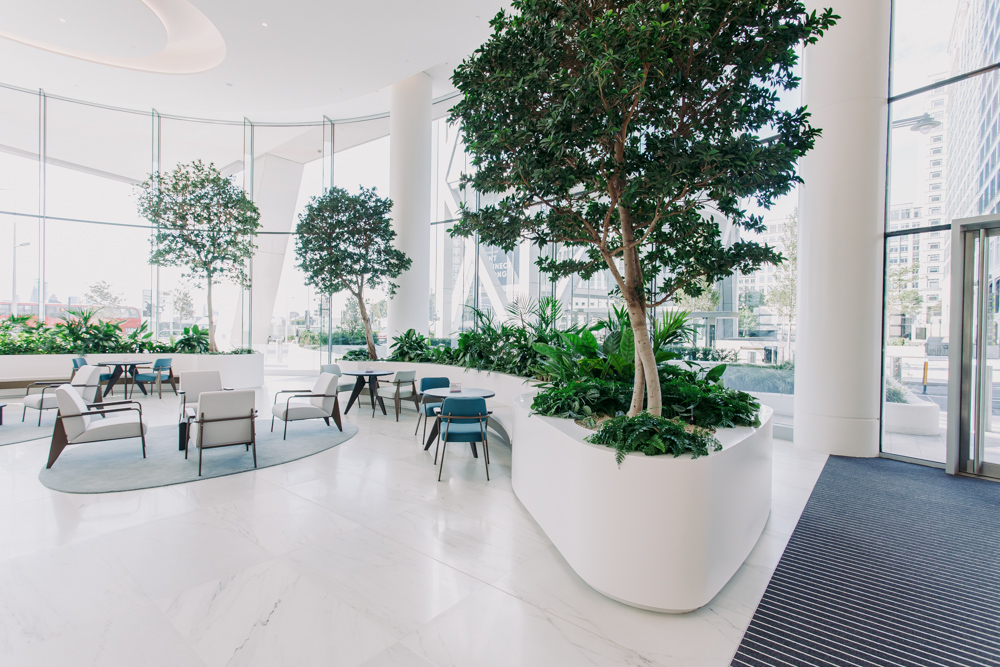 Large office lobby with trees and plants