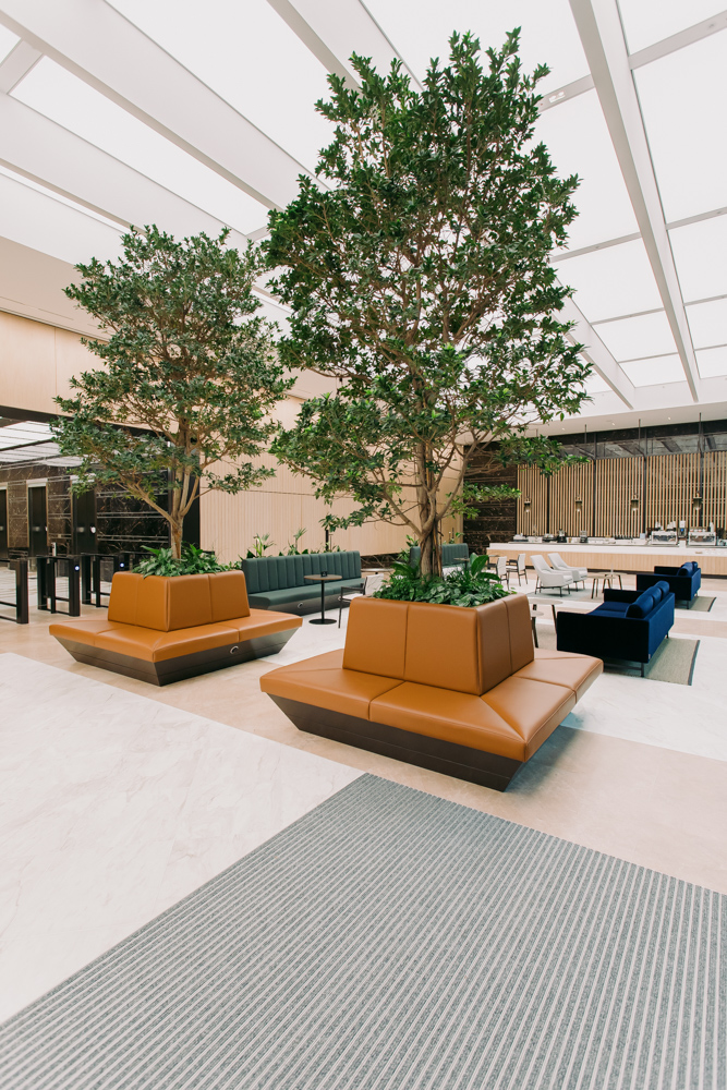 Large trees in seating planters in an office lobby