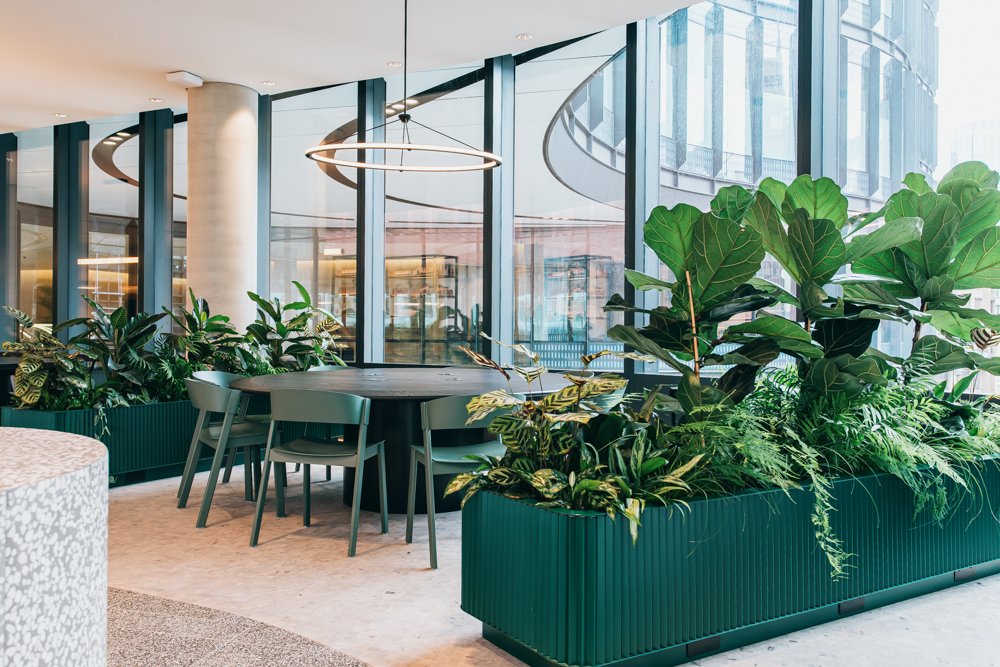Indoor seating area surrounded by plants