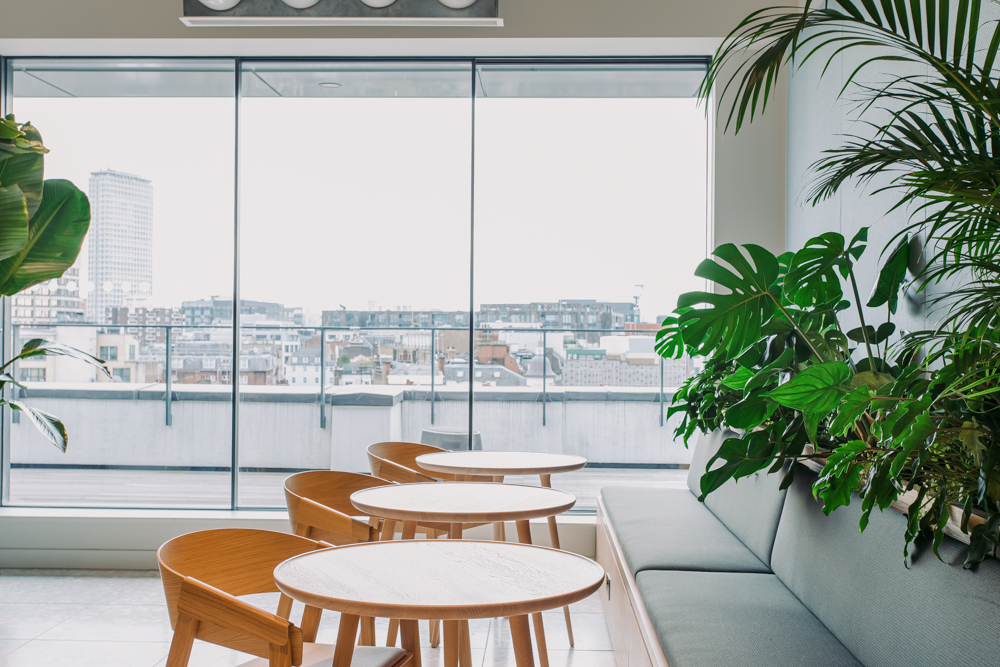 Breakout area with tables and plants