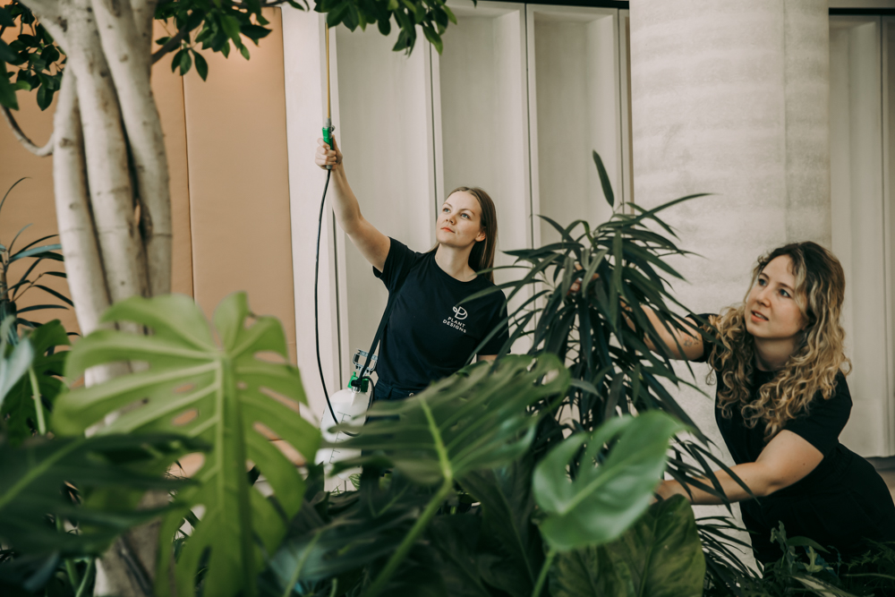 Two people watering and pruning indoor plants
