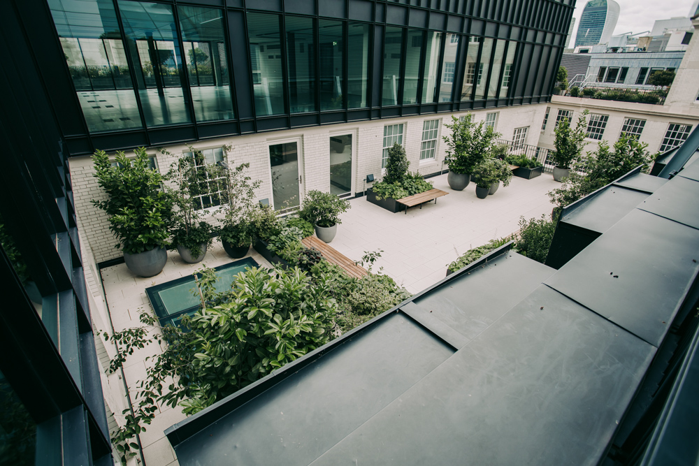 View onto an exterior courtyard with plants and seating