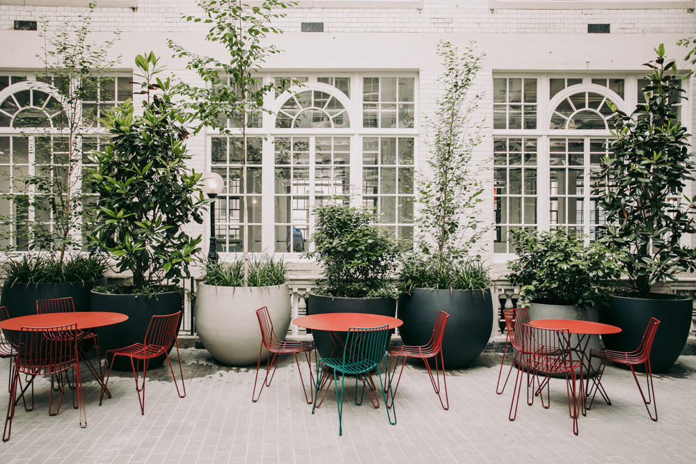 Outdoor seating area with tall plants