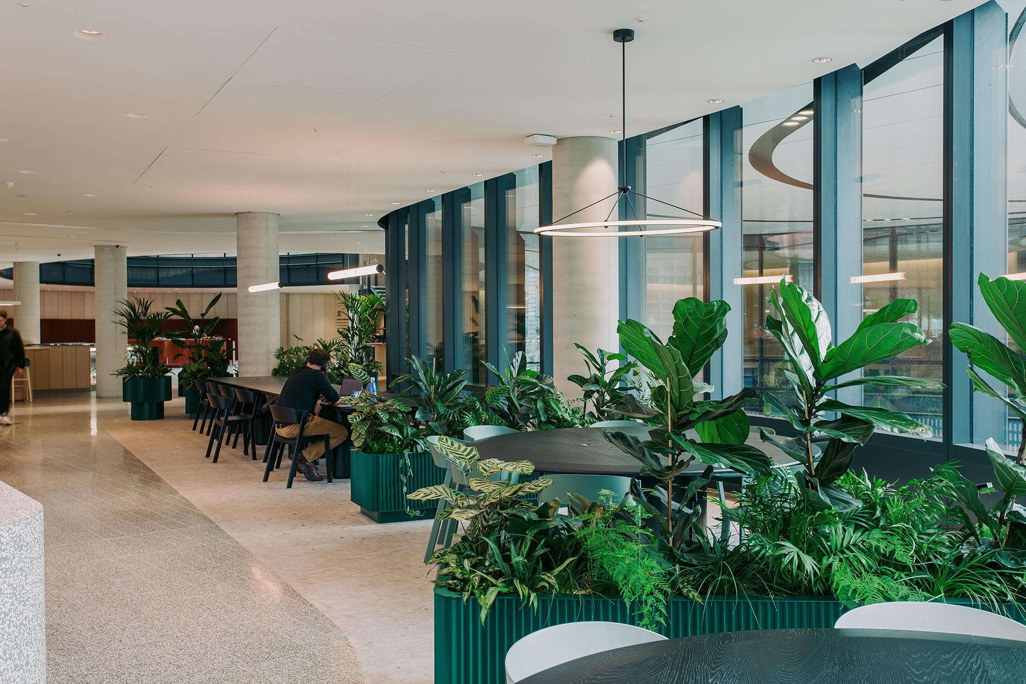 Seating area in an office with large leaved plants