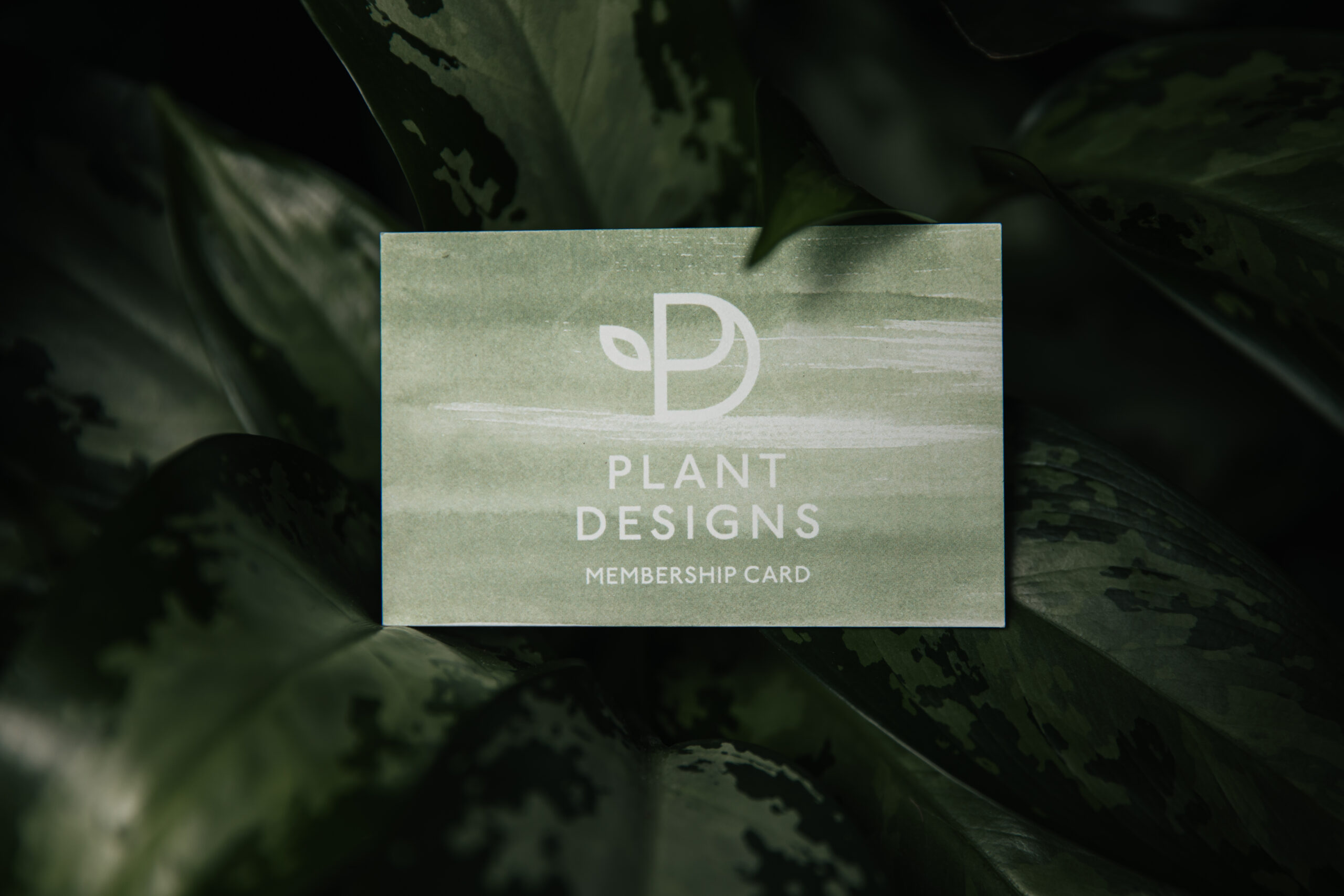 plant design membership card with leaves