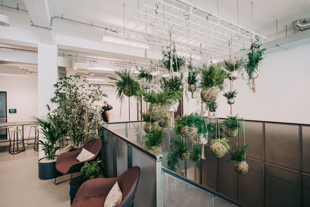 A stairway in an office with hanging plants