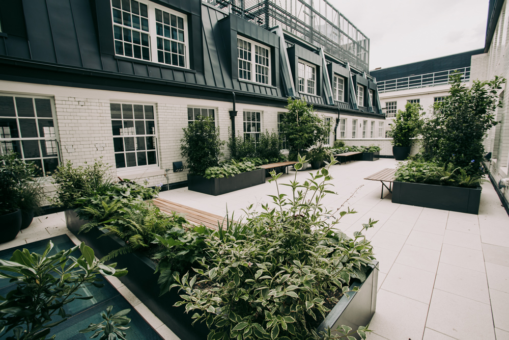 a large city courtyard filled with plants