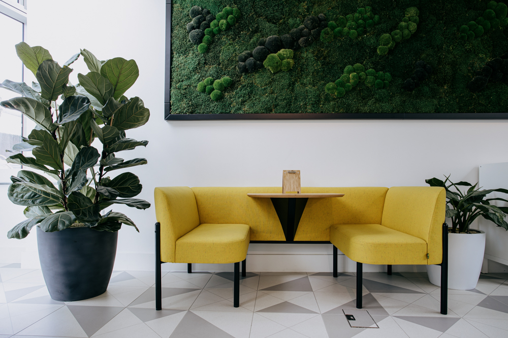 Yellow seating and table with a large plant and moss wall behind