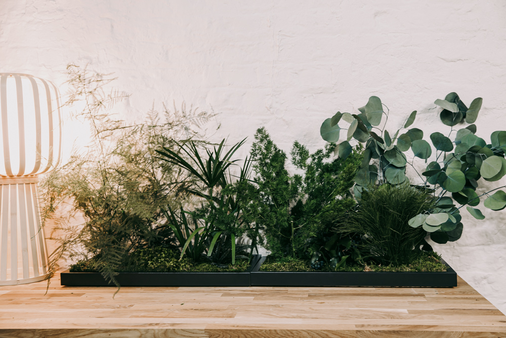 A mixed foliage installation made from preserved plants
