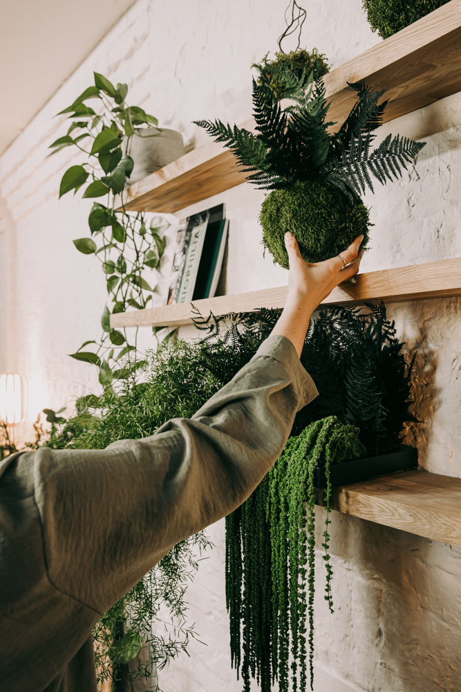 A person placing a preserved kokedama on a shelf with plants