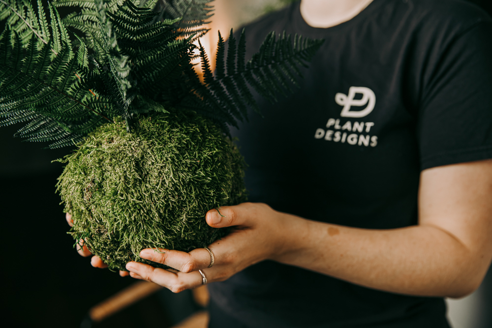 A person holding a preserved moss ball kokedama