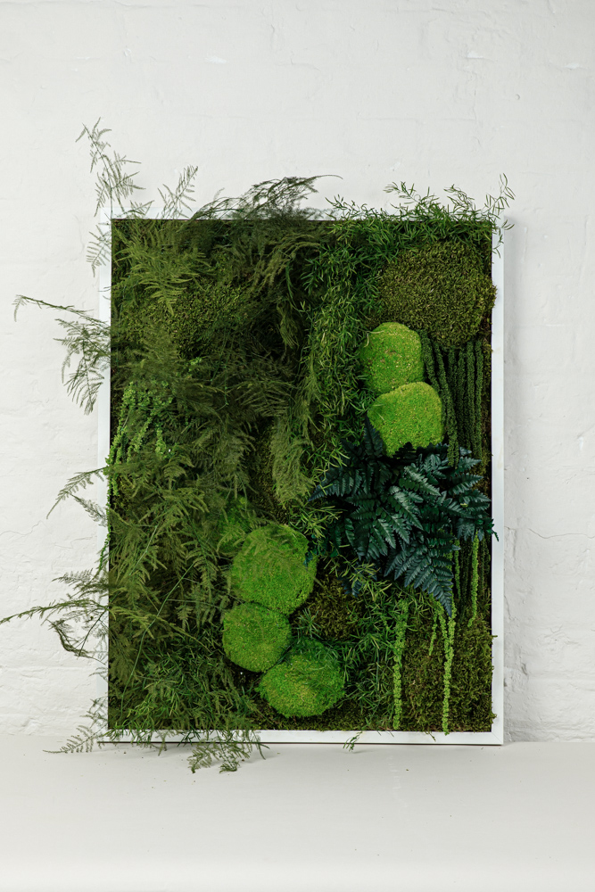 A frame filled with natural moss and preserved plants