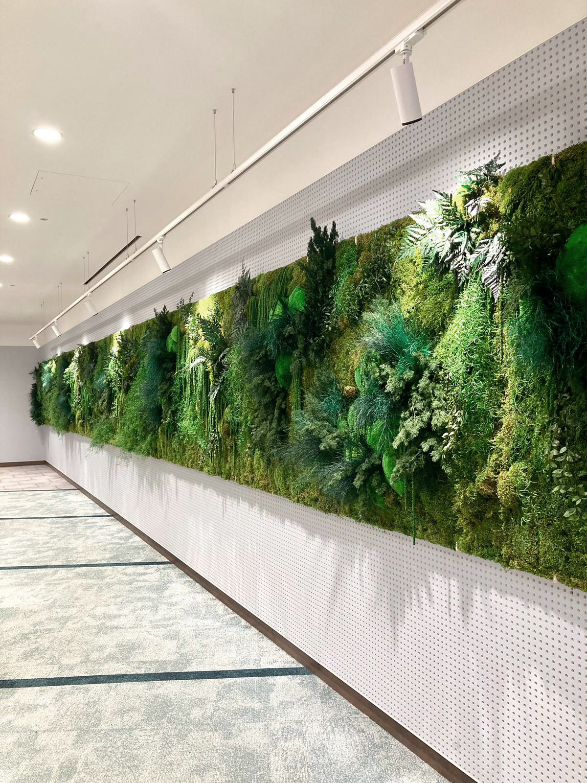 A large scale moss wall in an open plan office reception space