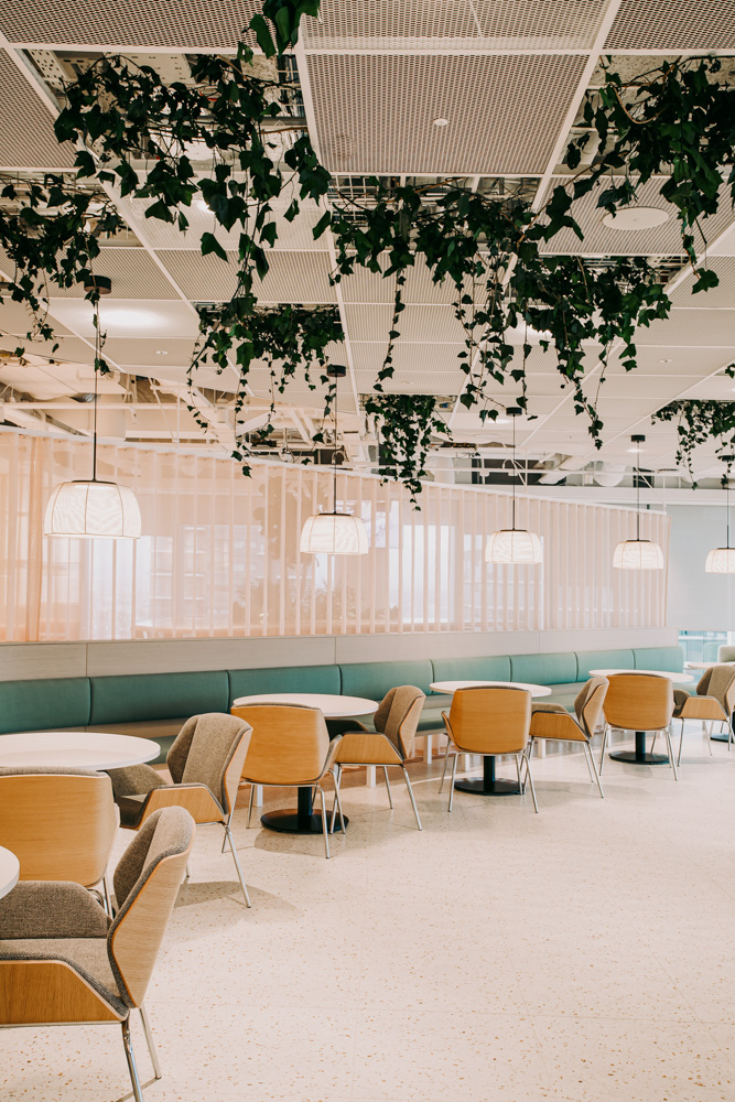 Ceiling plants in a open plan office space