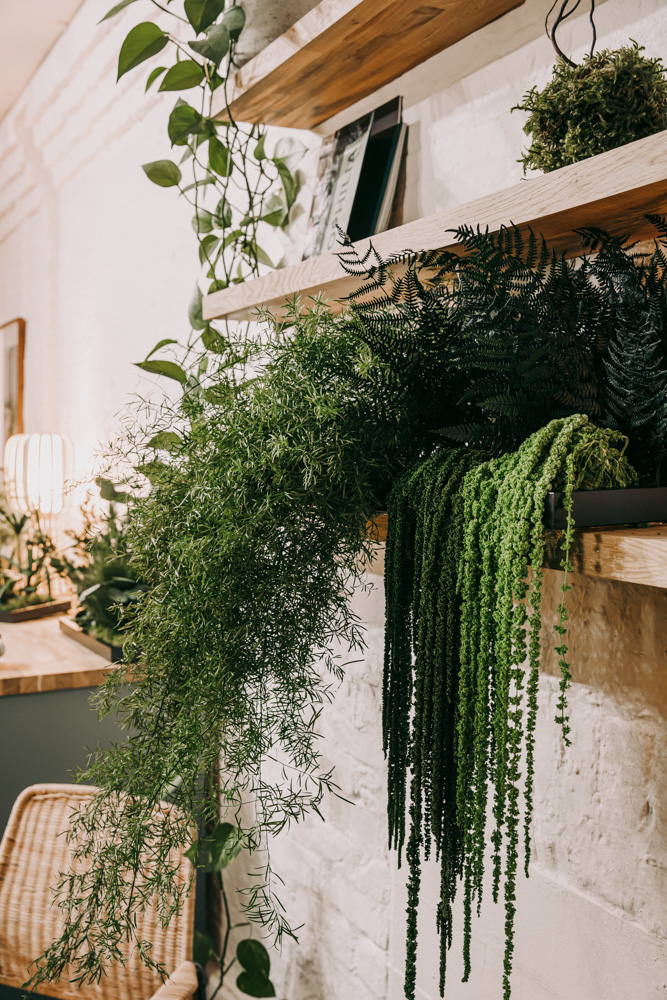 Preserved planting trailing from wooden shelving