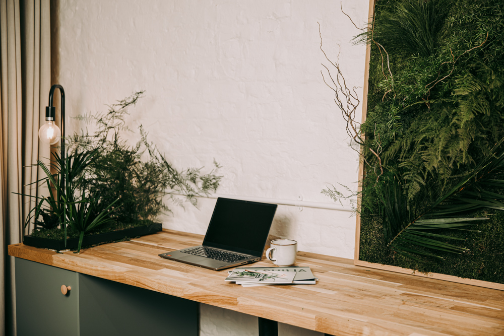 An open plan workspace with laptop and preserved plants around