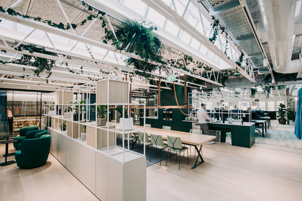 A light office space with hanging plants from the ceiling