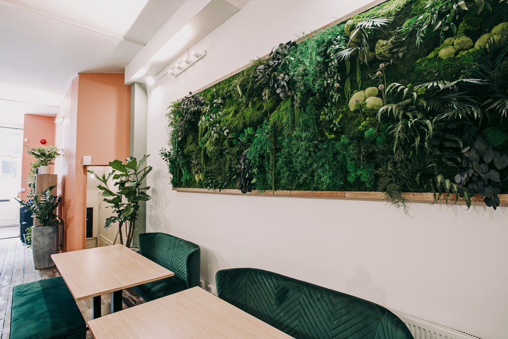 A large moss green wall in an office breakout space.