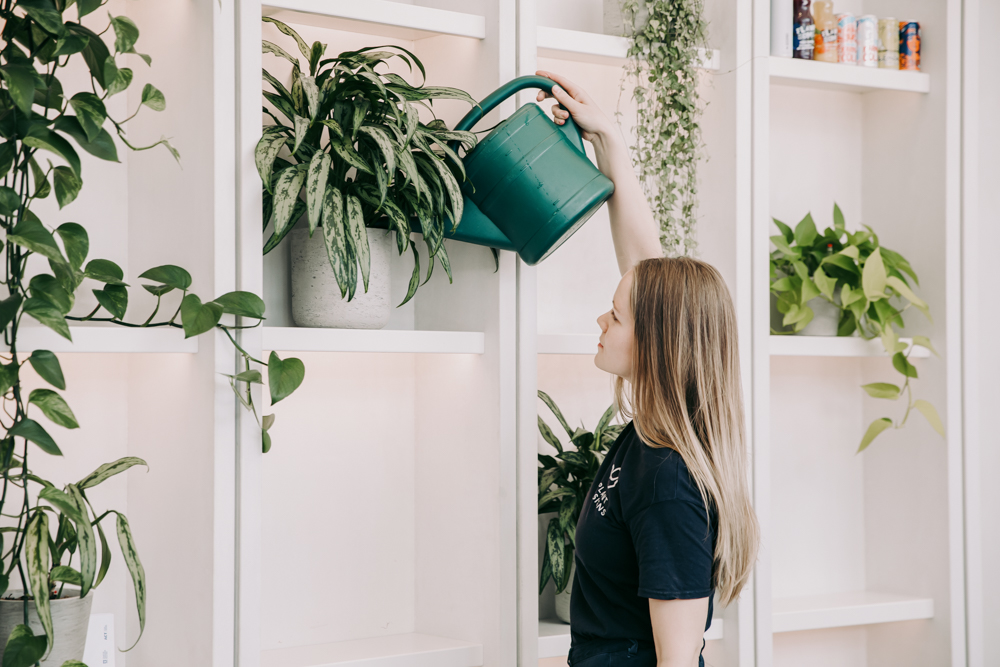 A woman watering office plants