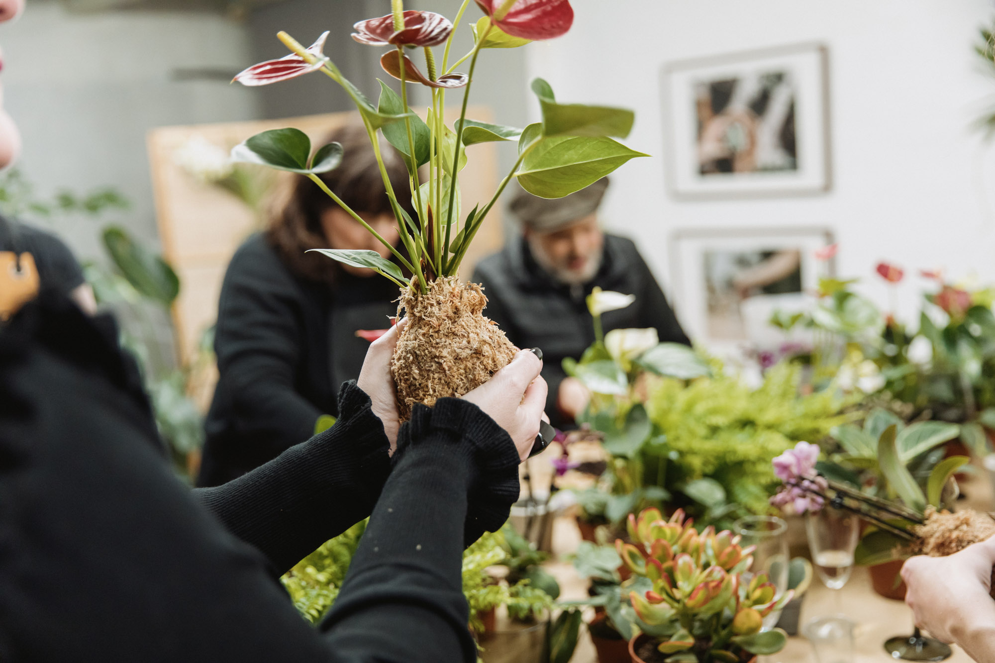 Making a kokedama in our London workshop