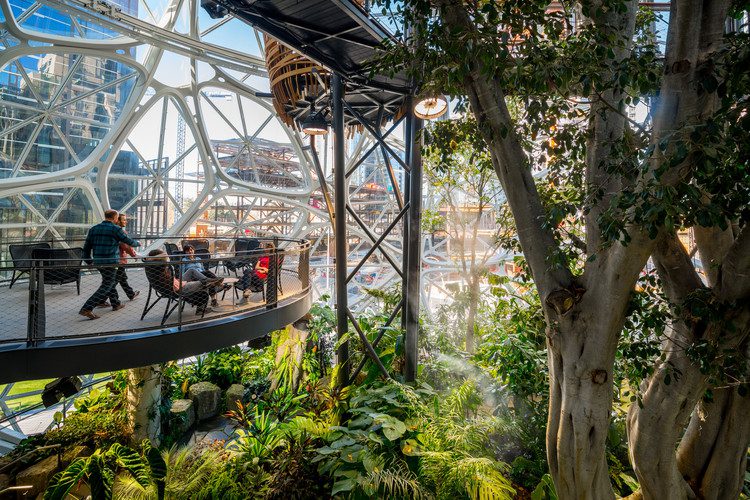 Communal Areas in Amazon Spheres Building